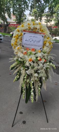 عکس گلکده حامد 
