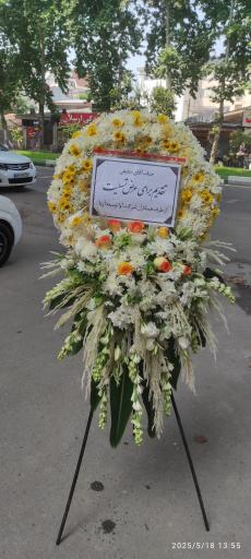 عکس گلکده حامد 