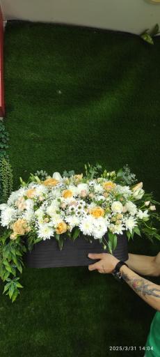 عکس گلکده حامد 