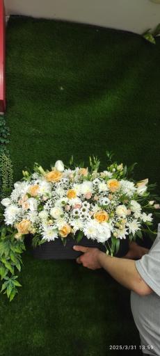 عکس گلکده حامد 