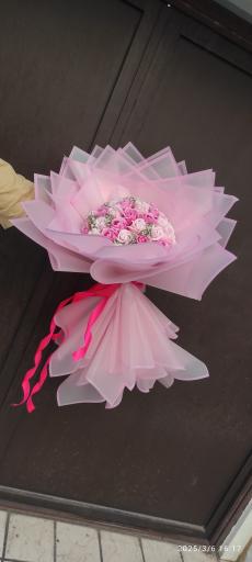 عکس گلکده حامد 