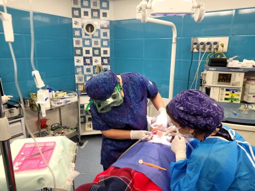 عکس کلینیک دندان پزشکی مهرگان