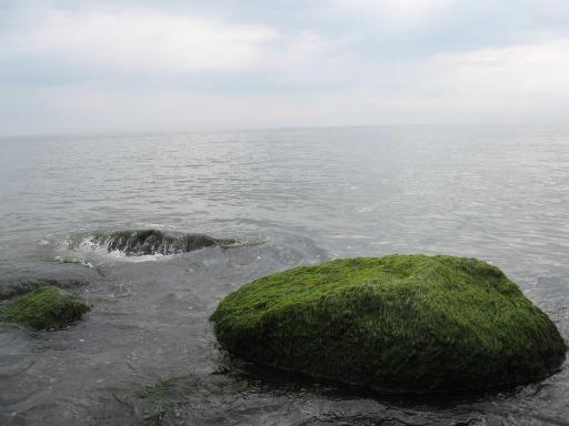 عکس ساحل مخیری آستارا