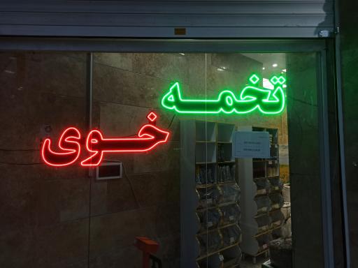 عکس تخمه و آجیل گونش