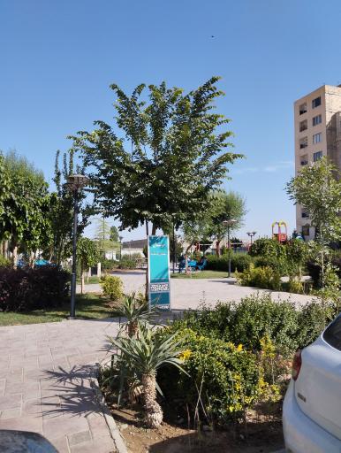 عکس پارک سی ان جی