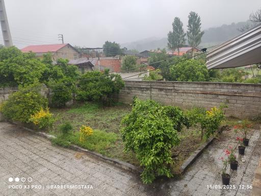 عکس چای باغ