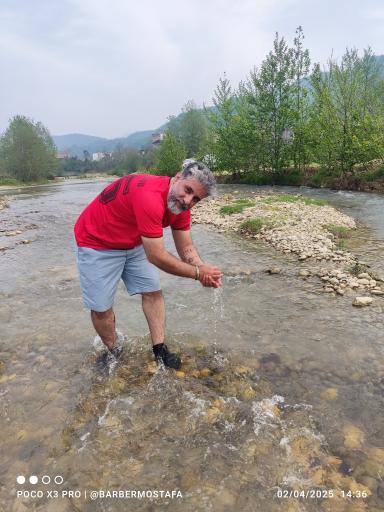 عکس چای باغ