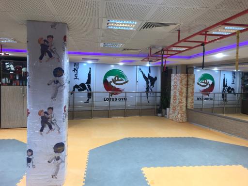 عکس باشگاه ورزشی لوتوس