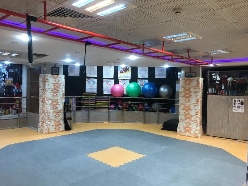 عکس باشگاه ورزشی لوتوس