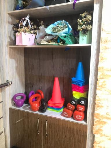 باشگاه ورزشی لوتوس