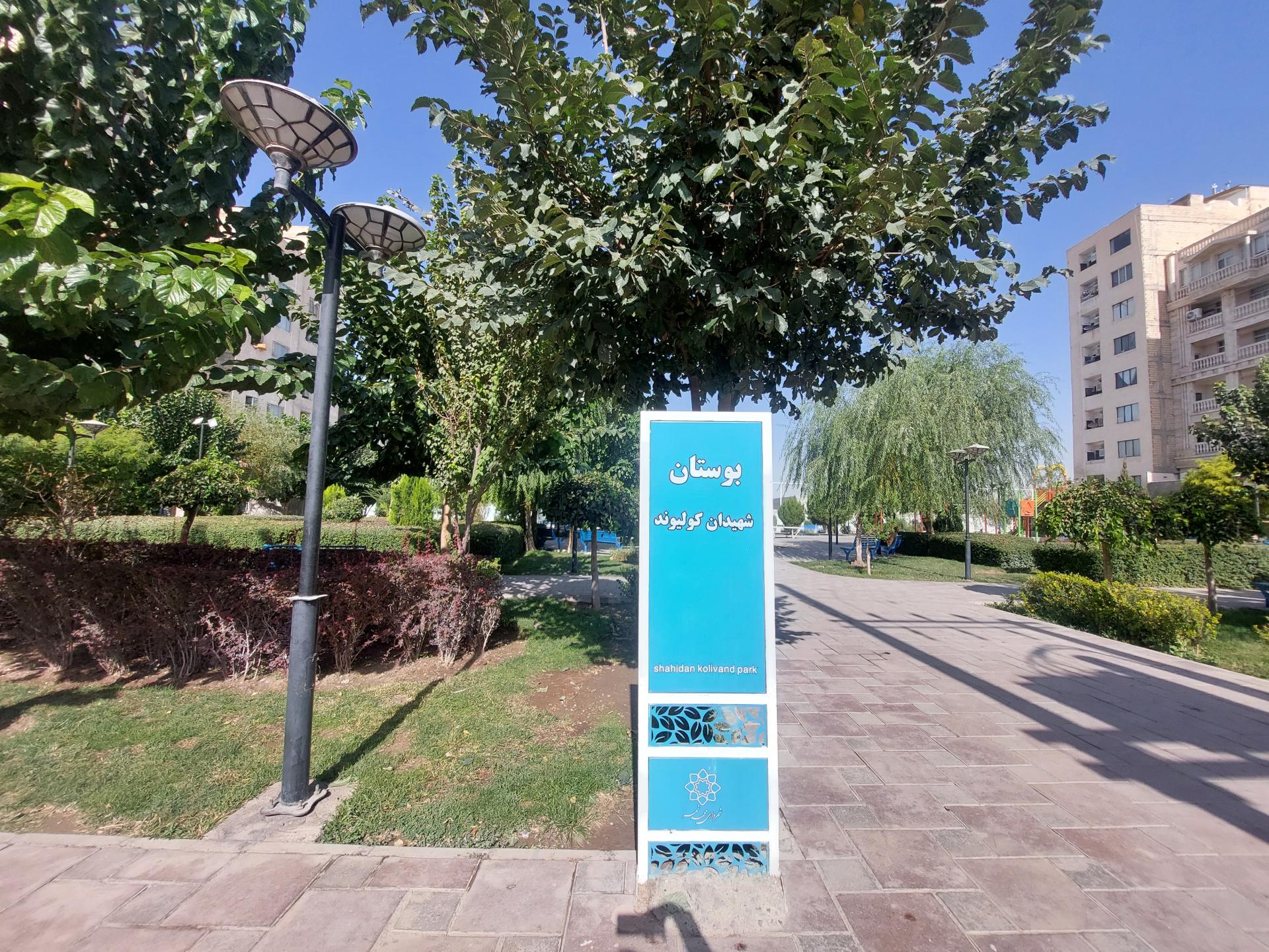 عکس پارک سی ان جی