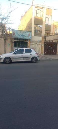 ریش سفید 