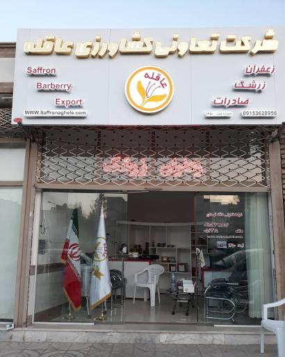 عکس زعفران عاقله