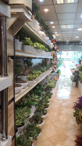 عکس بازار گل و گیاہ تعاون