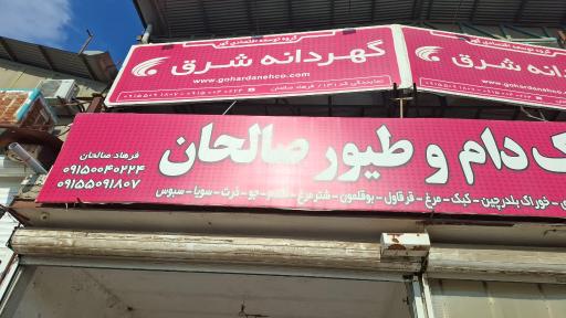 عکس خوراک دام و طیور صالحان