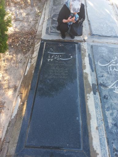 عکس مزار فرزانه چوپانی