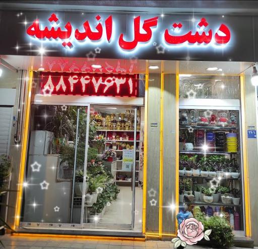 عکس دشت گل آنلاین اندیشه