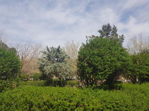 عکس شهربازی پامچال