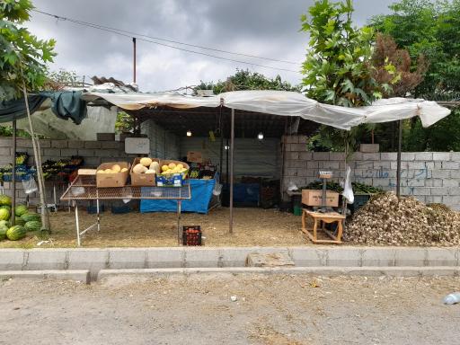 عکس  میوه فروشی برادران ابراهيمي 