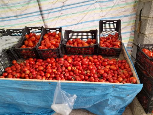 عکس  میوه فروشی برادران ابراهيمي 