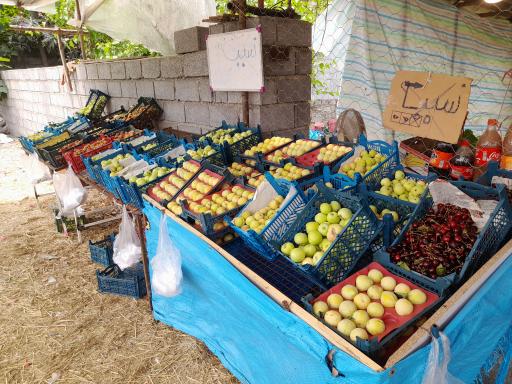 عکس  میوه فروشی برادران ابراهيمي 