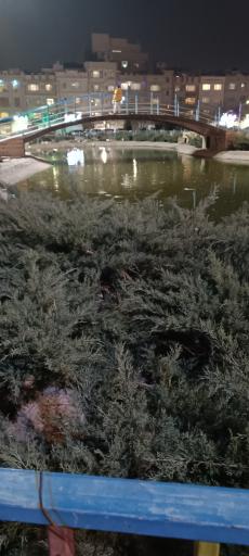 عکس بوستان پرندگان