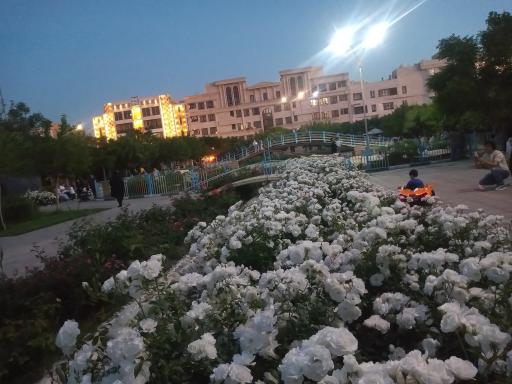 عکس بوستان پرندگان