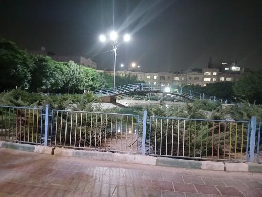 عکس بوستان پرندگان