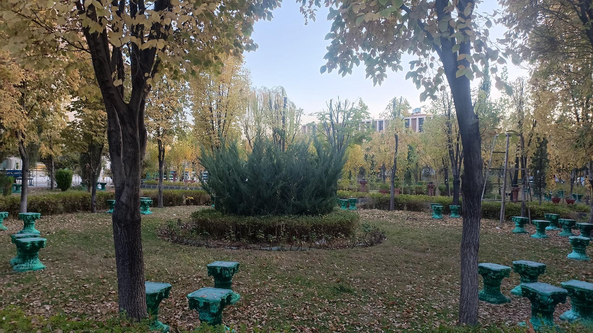 عکس پارک دانشگاه