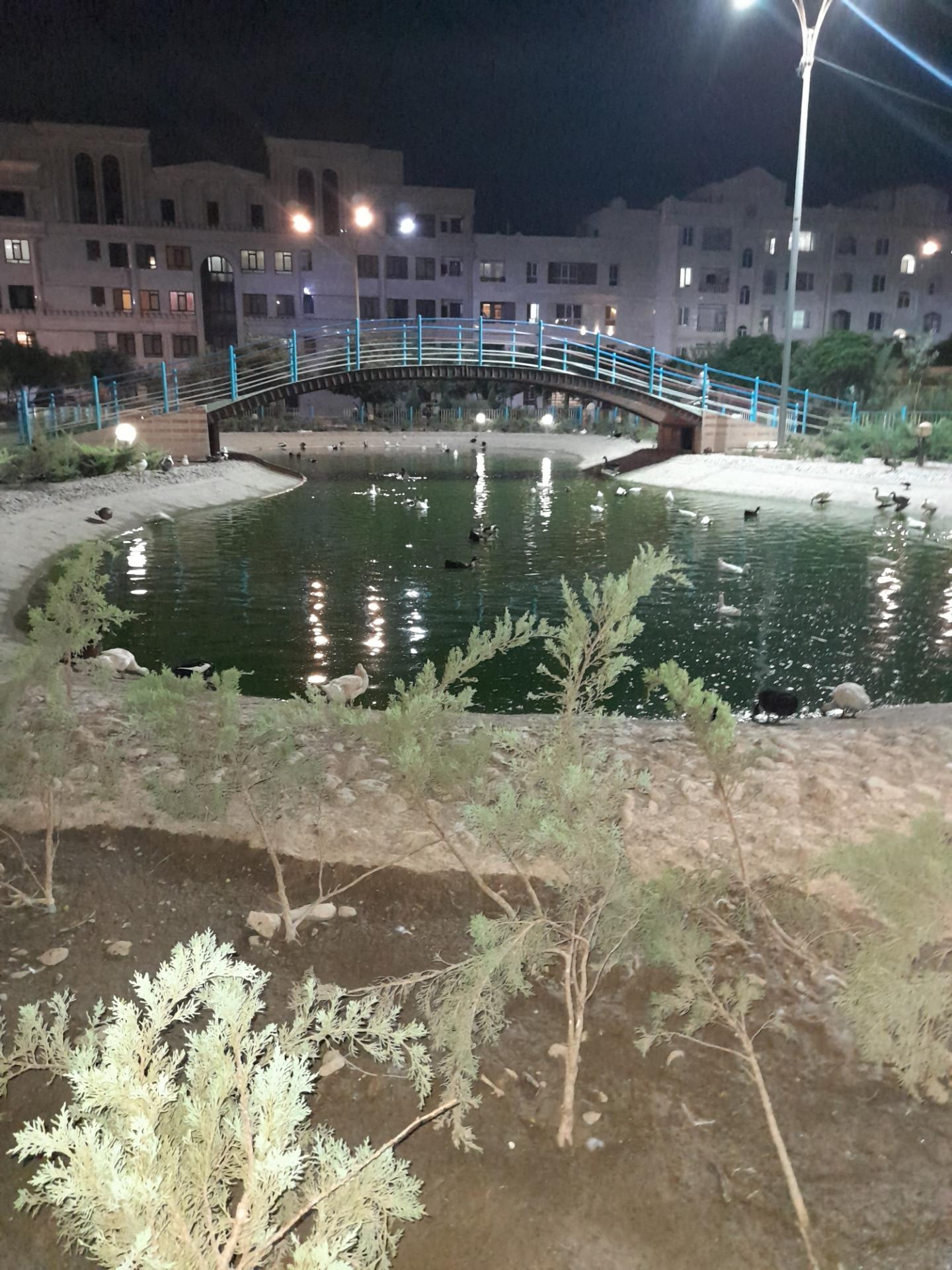 عکس بوستان پرندگان