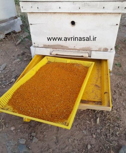 عکس فروشگاه تخصصی عسل اصغرپور 