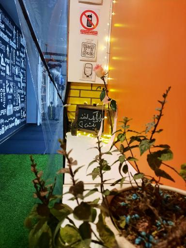 عکس باشگاه ورزشی نیروی برتر