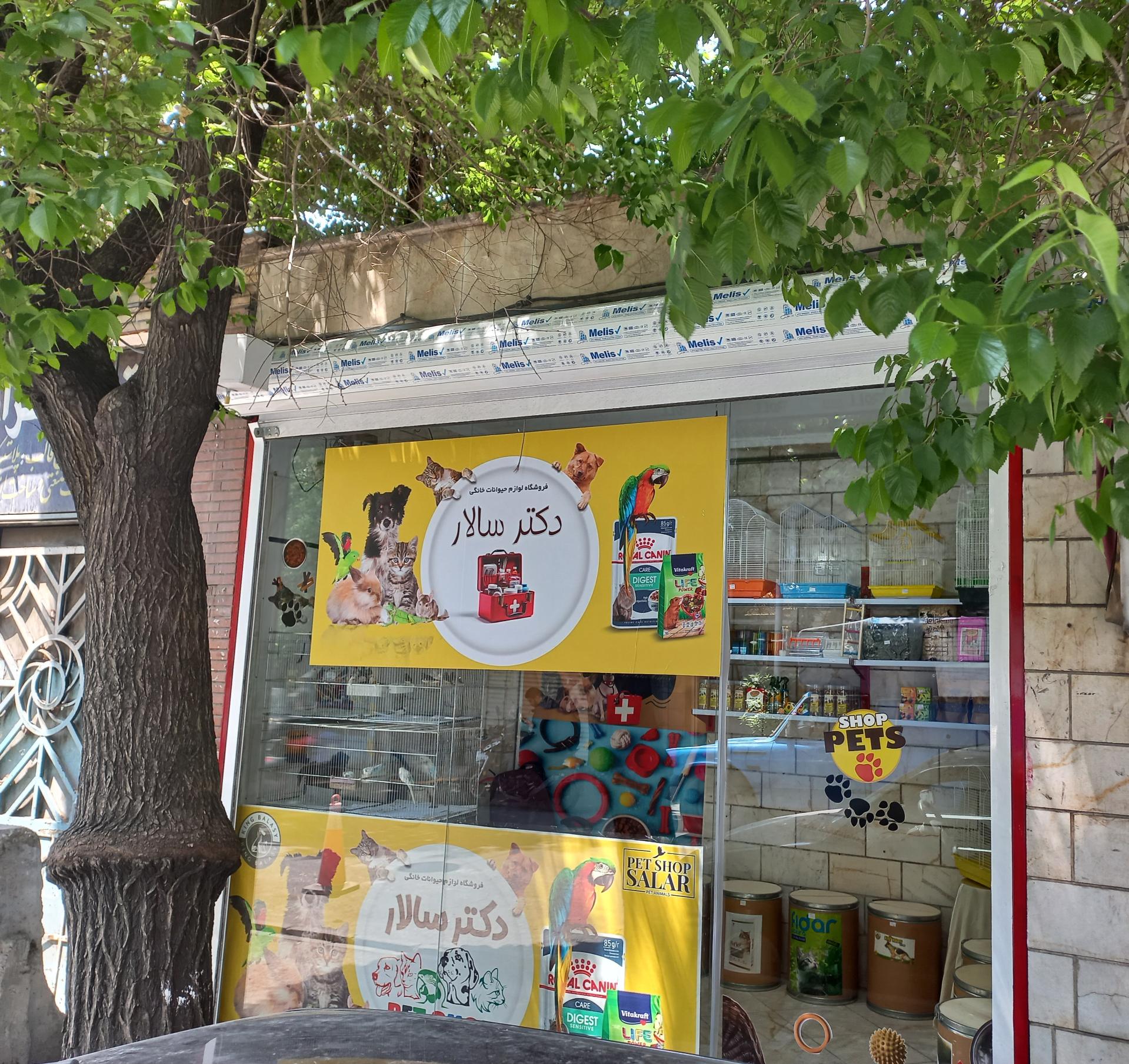 عکس پت شاپ دکتر سالار
