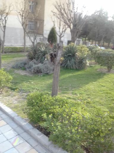 عکس بوستان صدف