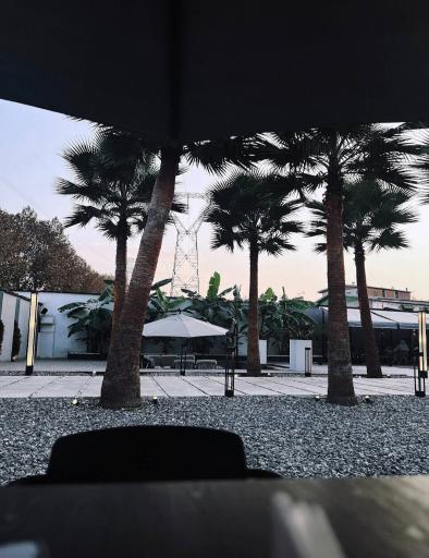 عکس کافه پالم