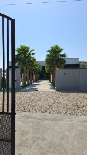 عکس کافه پالم