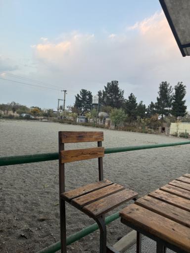 عکس باشگاه سوارکاری همای تهران