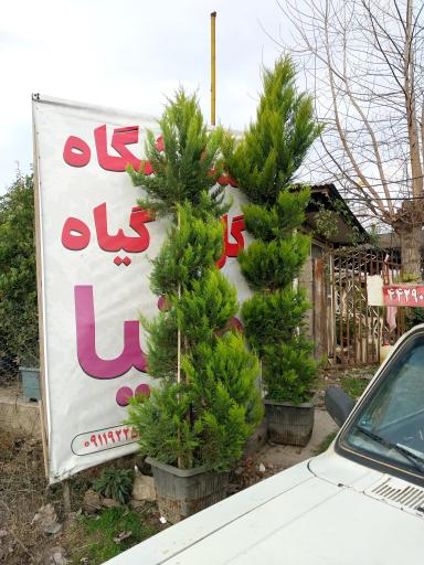 عکس نمایشگاه و تولیدی گل وانیا