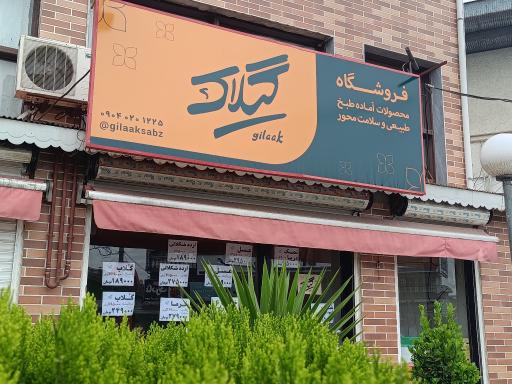 عکس گیلاک