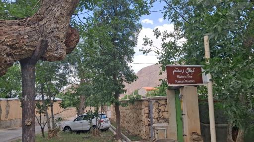 عکس درخت تاریخی کمان رستم