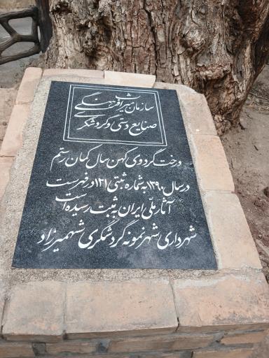 عکس درخت تاریخی کمان رستم