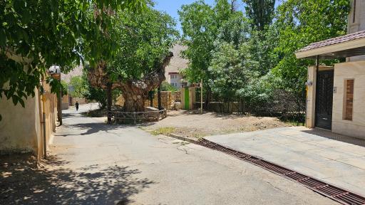 عکس درخت تاریخی کمان رستم