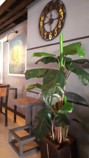 عکس رستوران آرسین