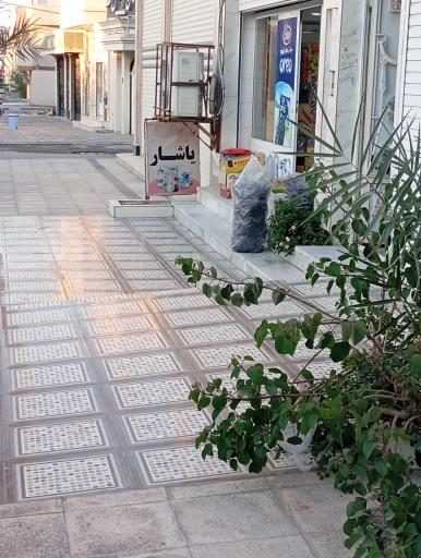 عکس سوپر استار یاشار