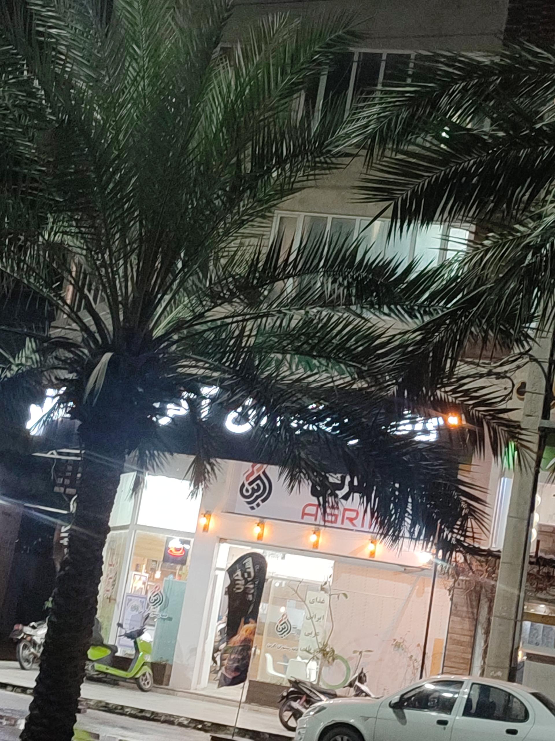 عکس رستوران آرسین