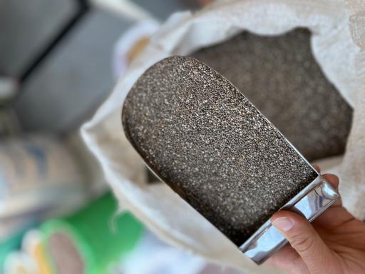 عکس پخش موادغذایی سید