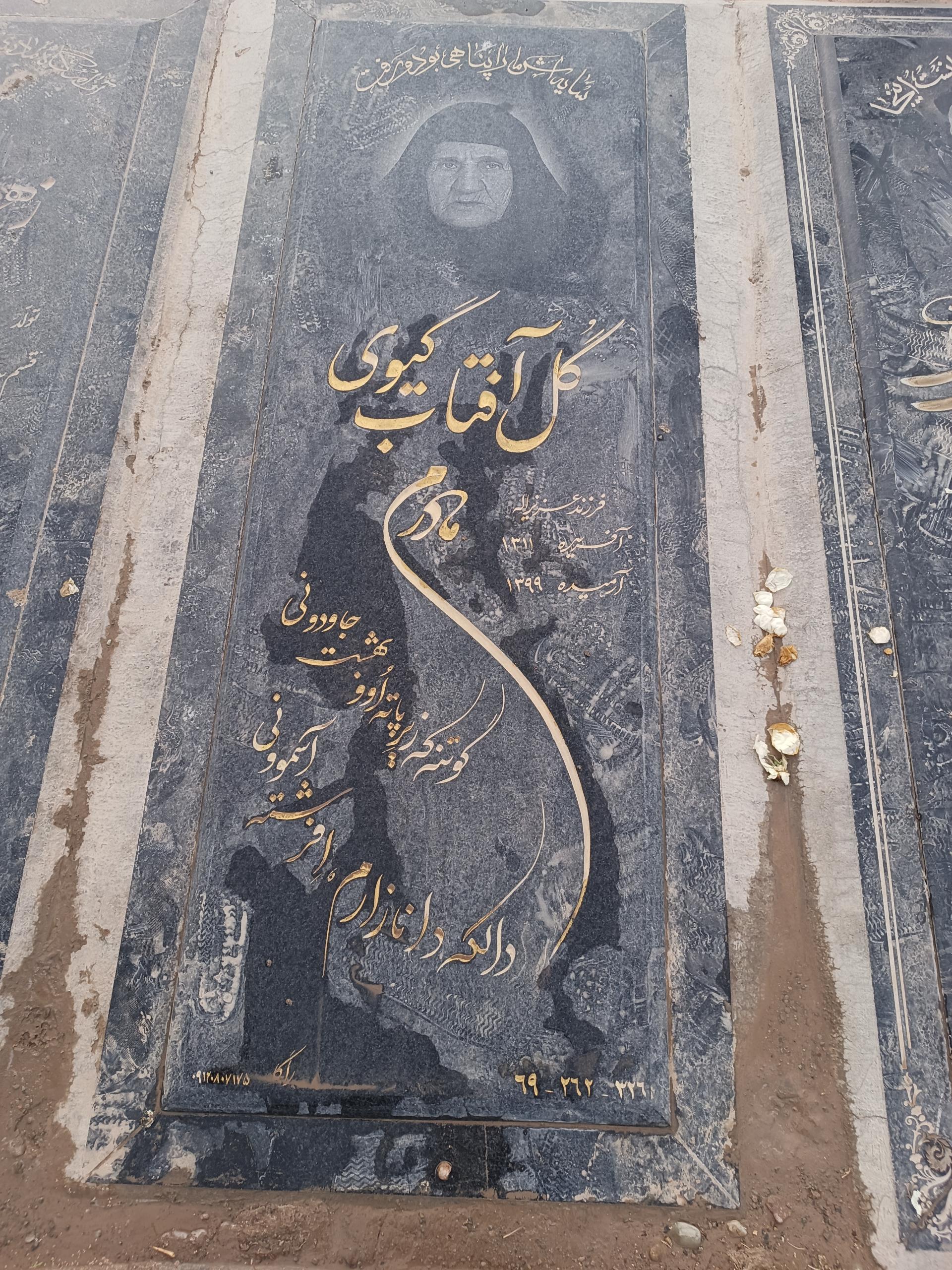 عکس مزار گل آفتاب گیوی