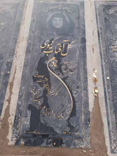 عکس مزار گل آفتاب گیوی