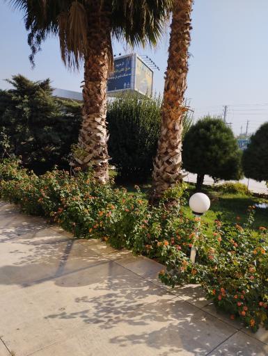 عکس شرکت سایپا پرس