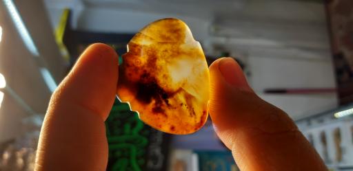 عکس حکاکی و گالری انگشتر موسوی